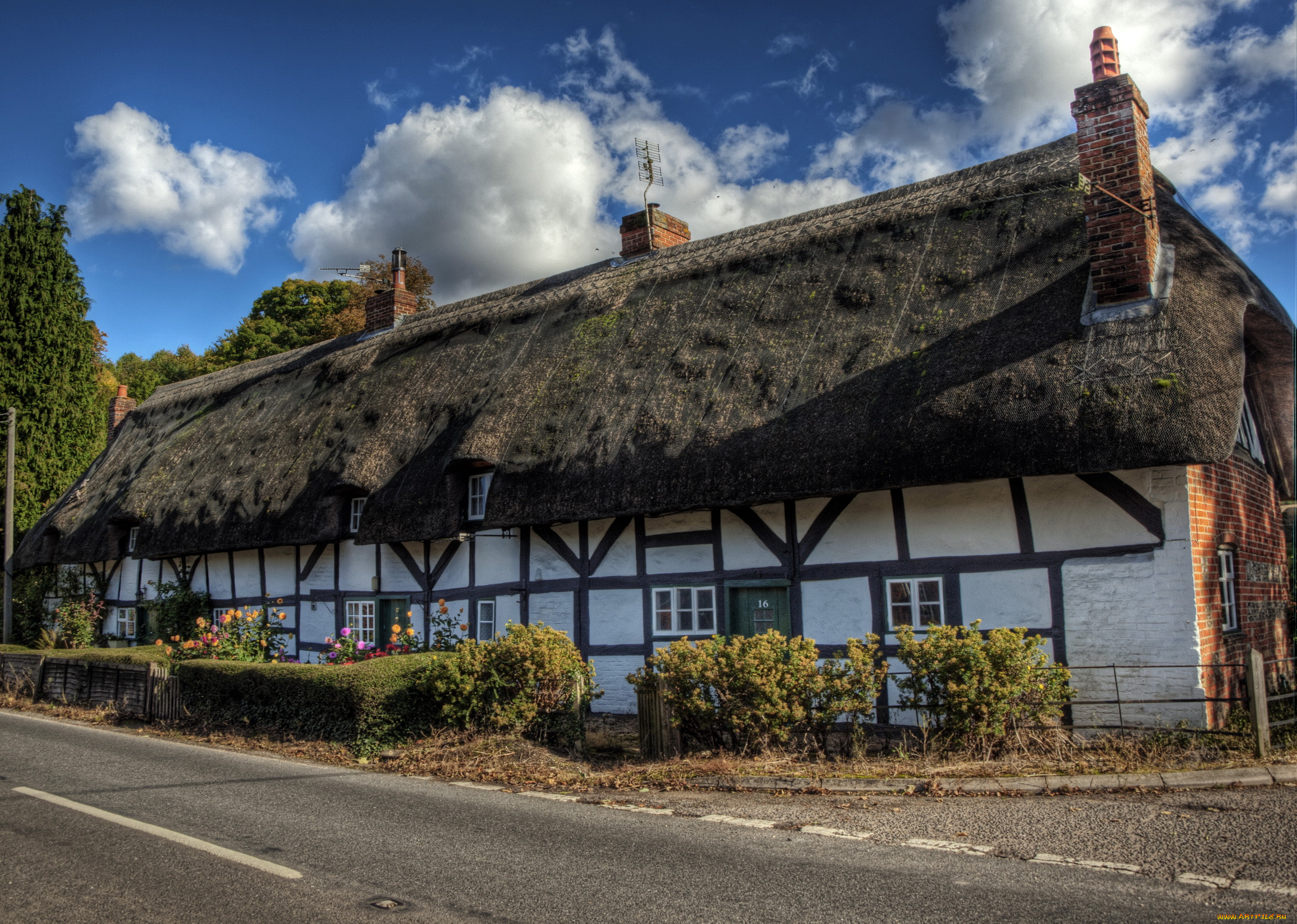 leckford, hampshire, england, , , , , , , 